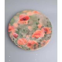 Бумажная тарелка с рисунком  18см