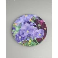 Бумажная тарелка с рисунком  18см