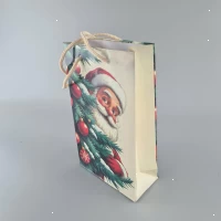 Пакеты новогодние ,бумажные ,подарочные , Малый 11/18/5 -003 (12 шт) Пакеты новогодние ,бумажные ,подарочные , Малый 11/18/5 -003 (12 шт)