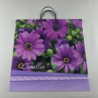 Полиэтиленовый пакет (40х40) с пластиковой ручкой 