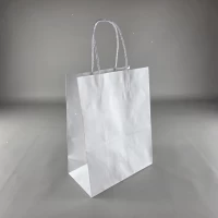Пакет с ручками бумажный крафт белый 220х120х280, 100г/м2 (25 шт)