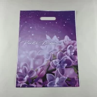 Пакет с прорезной ручкой, ламинированный 