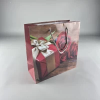 Пакет бумажный подарочный квадратный 23*24*10(артKV-081) (12 шт)