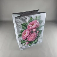 Подарочный бумажный пакет Гигант (широкое дно )о 30/40/17(артGSD-07) (12 шт) Подарочный бумажный пакет Гигант (широкое дно )о 30/40/17(артGSD-07) (12 шт)