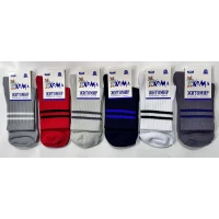 Детские демисезонные носки ЖИТОМИР, размер 22-24