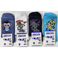 Детские демисезонные носки ЖИТОМИР, размер 20-22