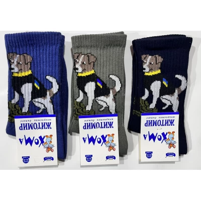Детские демисезонные носки ЖИТОМИР, размер 16-18,18-20 Детские демисезонные носки ЖИТОМИР, размер 16-18,18-20