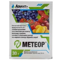 Метеор 30г