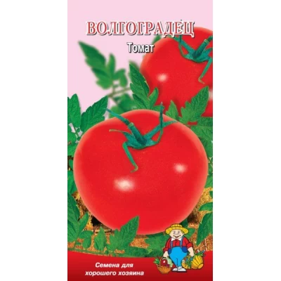 Семена Томат ВОЛГОГРАДЕЦ – 1 г,.Среднеспелый