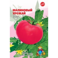 Семена Томат МАЛИНОВЫЙ УРОЖАЙ – 200-250 семян. Раннеспелый