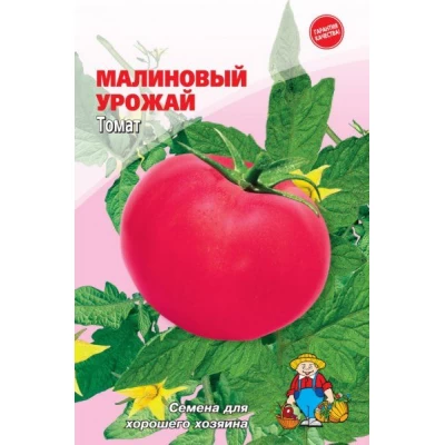 Семена Томат МАЛИНОВЫЙ УРОЖАЙ – 200-250 семян. Раннеспелый