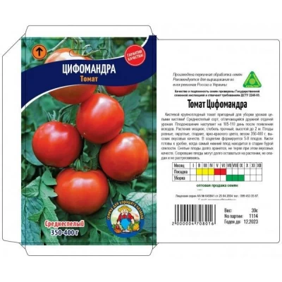 Семена Томат ЦИФОМАНДРА – 30 семян