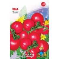 Семена Томат ЯНА – 400-450 семян. Ранний