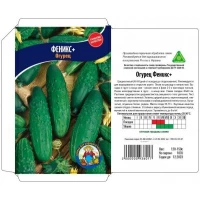 Семена огурец ФЕНИКС ПЛЮС – 1 г. Среднеспелый