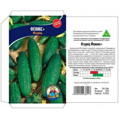 Семена огурец ФЕНИКС ПЛЮС – 1 г. Среднеспелый