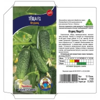 Семена Огурец ТЕЩА F1 – 12-15 семян. Скороспелый