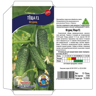 Семена Огурец  ТЕЩА F1 – 50 - 70 семян. Скороспелый