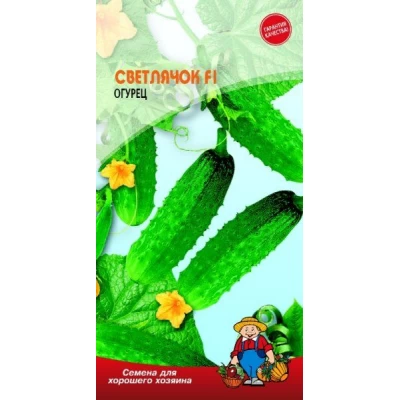 Семена Огурец СВЕТЛЯЧОК F1 – 17-20 семян