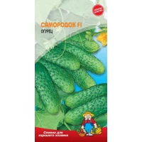 Семена Огурец САМОРОДОК F1 – 17-20 семян. Среднеранний