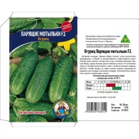 Семена Огурец  ПАРЯЩИЕ МОТЫЛЬКИ F1 50-70ШТ