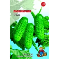 Семена Огурец ЛЮБИМЧИК – 120-150 семян. Раннеспелый