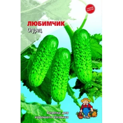 Семена Огурец ЛЮБИМЧИК – 120-150 семян. Раннеспелый