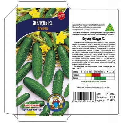 Семена огурец ЖЕЛУДЬ F1 – 15-17 семян. Раннеспелый