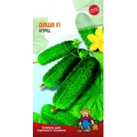 Семена огурец ДАША F1 – 15-17 семян