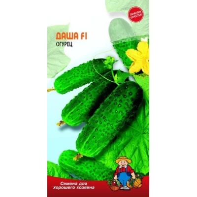 Семена огурец ДАША F1 – 15-17 семян