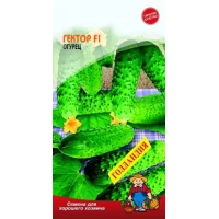 Семена огурец ГЕКТОР F1 (Голландия) – 10 семян. Сверхранний
