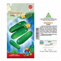 Семена огурец ВОДОПАД F1 – 15-17 семян