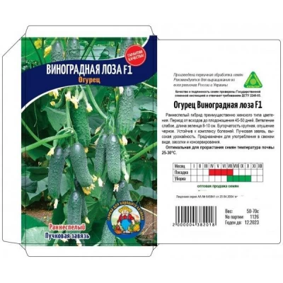 Семена огурец ВИНОГРАДНАЯ ЛОЗА F1 – 50-70 шт. Раннеспелый