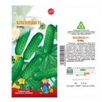 Семена огурец БЛИЗНЕЦЫ F1 – 12-15 семян. Раннеспелый