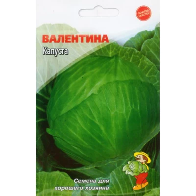Семена Капуста ВАЛЕНТИНА – 1100-1400 семян