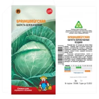 Семена Капуста БРАУНШВЕЙГСКАЯ – 1 г. Поздний сор