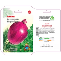 Семена Лук ЛИЛИЯ – 200-250 семян