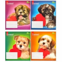 Зошит кольоровий 12 аркушів, коса лінія з додатковою лінією Green 2946