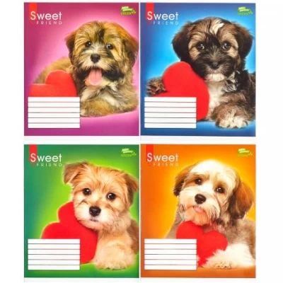 Зошит кольоровий 12 аркушів, коса лінія з додатковою лінією Green 2946