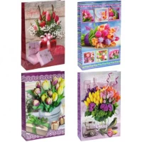 Пакет кольоровий середній Квітковий мікс 27х16х7 см 3012