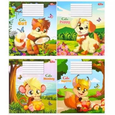 Зошит кольоровий 12 аркушів, коса лінія з додатковою лінією 2980 N