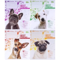 Зошит кольоровий 12 аркушів, коса лінія з додатковою лінією Green 3049