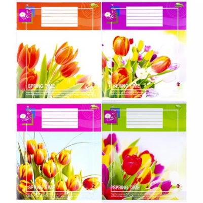 Зошит кольоровий 24 аркуша, лінія Green 3064