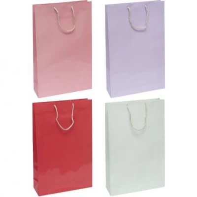 Пакет кольоровий великий Однотонний вертикальний 25х39х8 см 5026