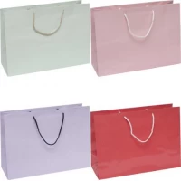 Пакет кольоровий великий Однотонний горизонтальний 24х35х12 см 5041