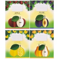 Зошит кольоровий 24 аркуші, клітинка 3290 N