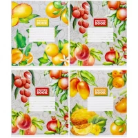 Зошит кольоровий 24 аркуші, клітинка 3370N