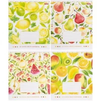 Тетрадь цветная 24 листа, линия 3374D