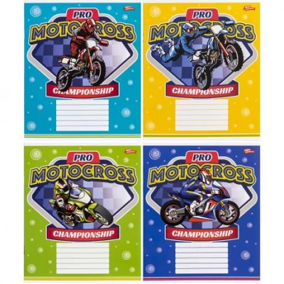 Тетрадь цветная 12 листов, клетка "3362" М