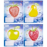 Зошит кольоровий 12 аркушів, клітинка 3365  N