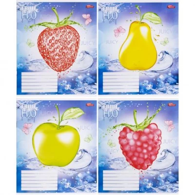 Зошит кольоровий 12 аркушів, клітинка 3365  N